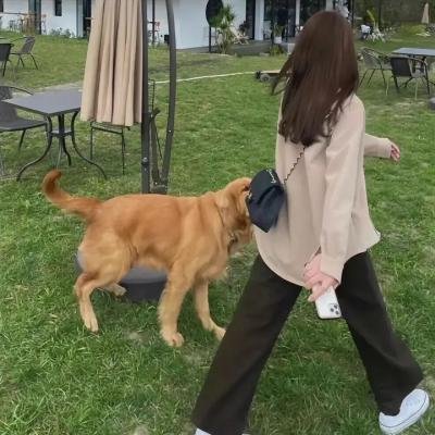 翼·年代记第二季